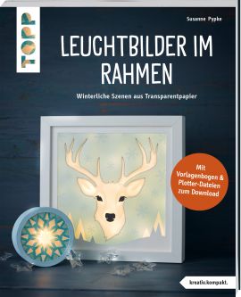 Leuchtbilder im Rahmen (kreativ.kompakt) 