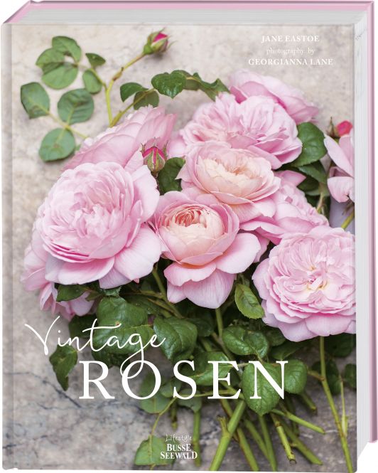 Vintage Rosen 